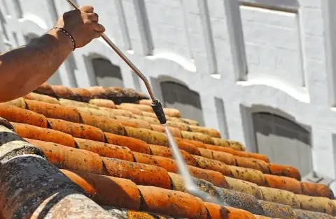 Nettoyage de toitures - Colombiers